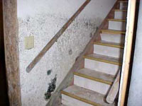 Mold inspection